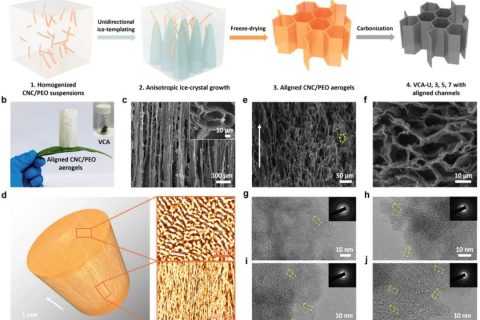 首次通過控制冰模板法冷卻速率實現(xiàn)高性能碳氣凝膠負極！