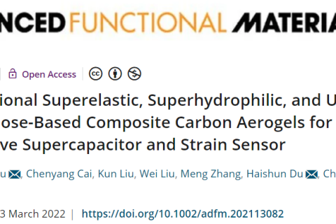 超彈、超輕、超親水的多功能CNF/CNT/RGO碳?xì)饽z！