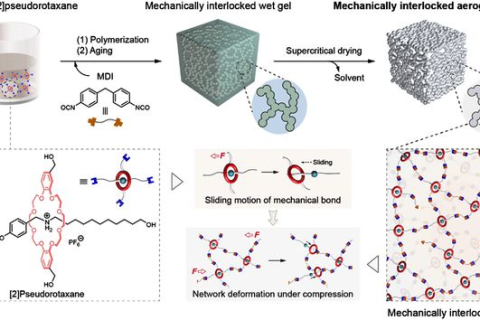 上海交大顏徐州團隊機械互鎖聚合物氣凝膠