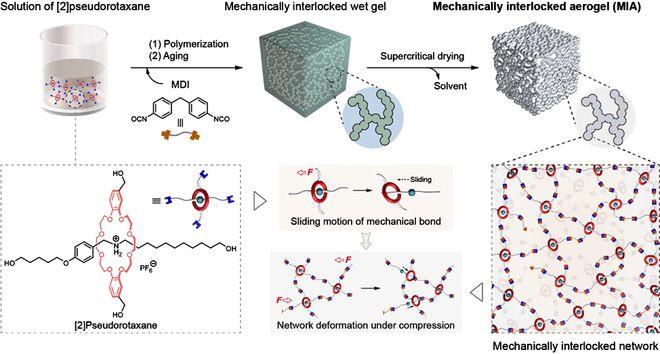 機械互鎖聚合物氣凝膠(Mechanically interlocked aerogel, MIA)的設(shè)計構(gòu)筑。